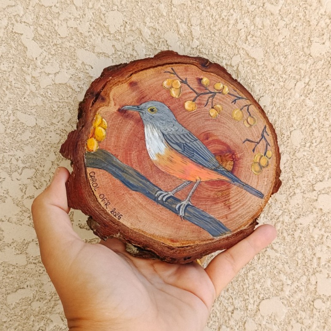 Quadro Sabiá-laranjeira